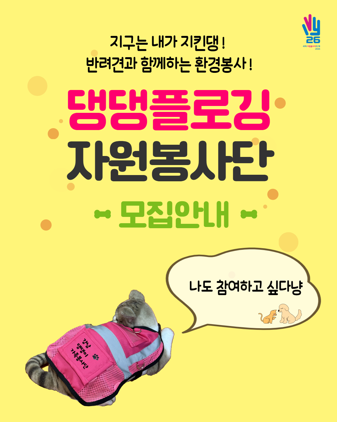 강남구자원봉사센터 <댕댕플로깅 자원봉사단 추가모집> 안내