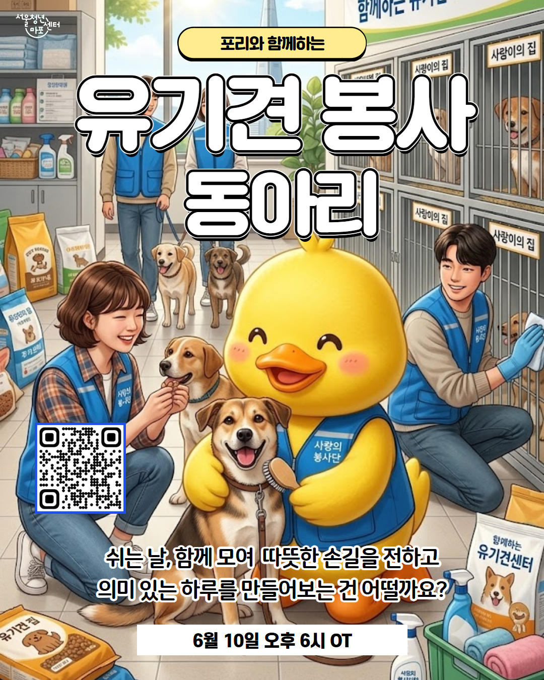 서울청년센터 마포 <유기견 봉사 동아리> 참여자 모집 안내